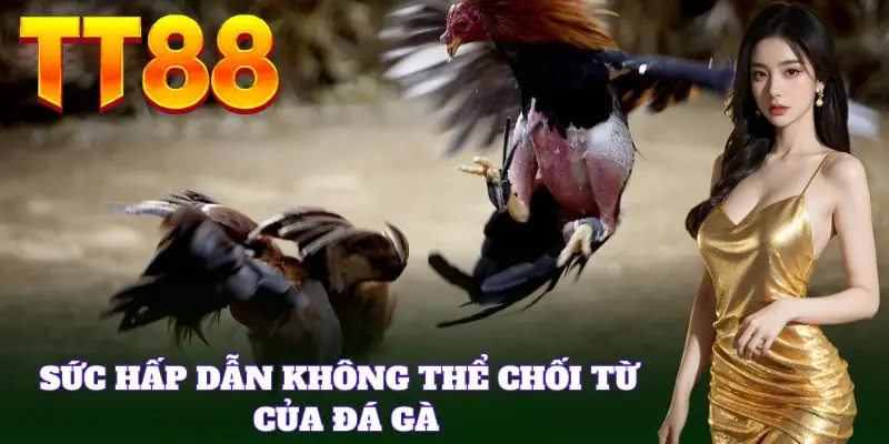 Những màn tranh tài chiến kê hấp dẫn tại TT88